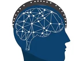 Brain C-13 natural cognitive support supplement for memory and focus